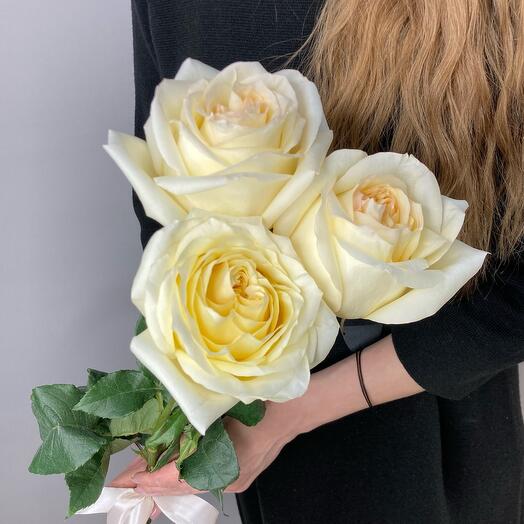 3 розы PREMIUM💛