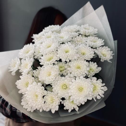 White cloud of chrysanthemums