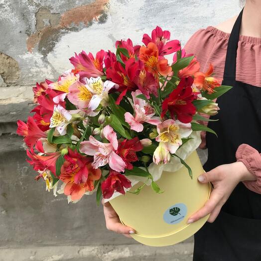Composición con alstroemeria