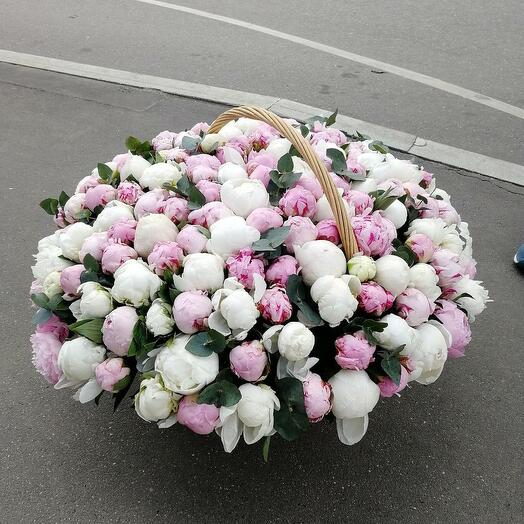 101 Peony Basket