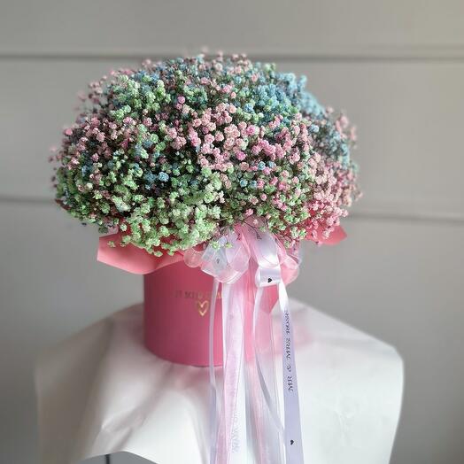 Composition of colored gypsophiles of size M