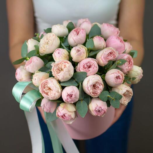 Peonía rosas Mansfield Park en Caja L