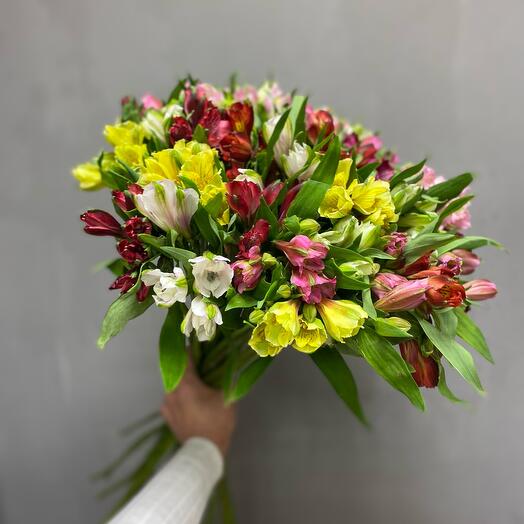 33 Alstroemeria