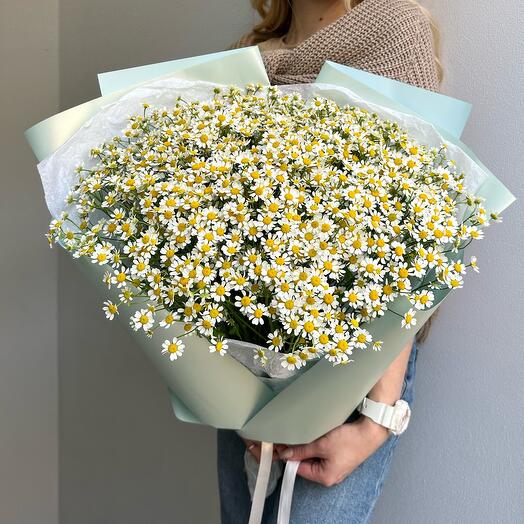 Букет из 25 ромашек