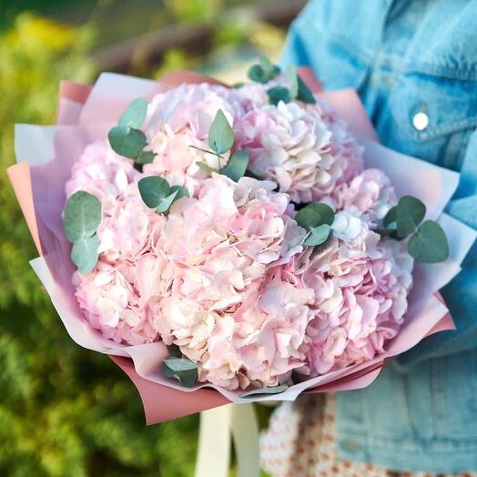 Гортензии крупные 💞 Large