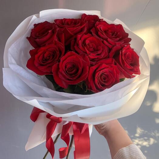 Terciopelo rosa Premium