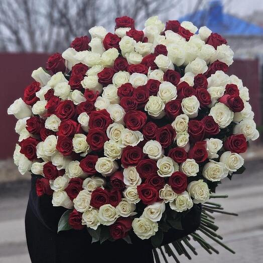 151 роза 70 см