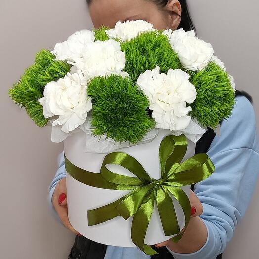 Диантус в коробке