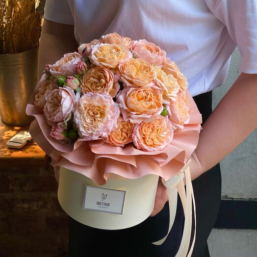 Peony Juliet in a box