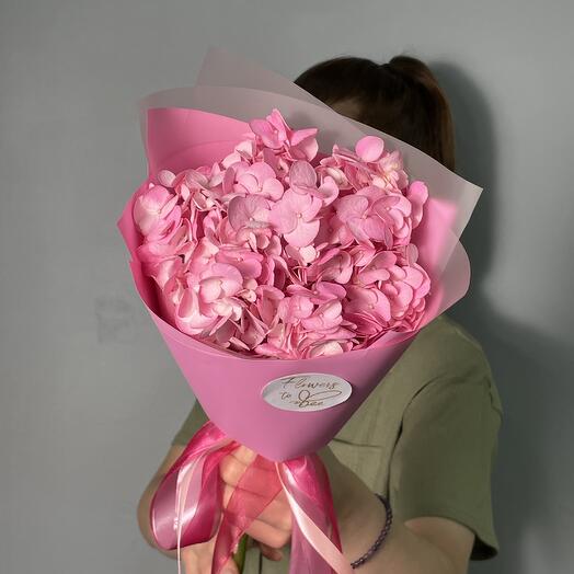 Pink Hydrangea