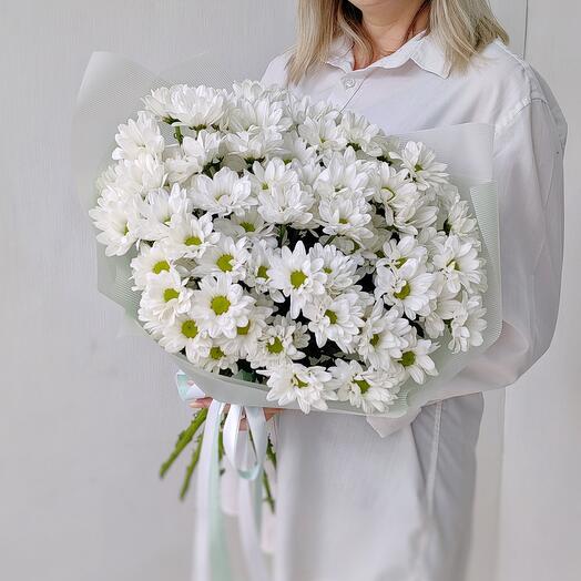 Bouquet of 11 white bush chrysanthemums in a package with a ribbon