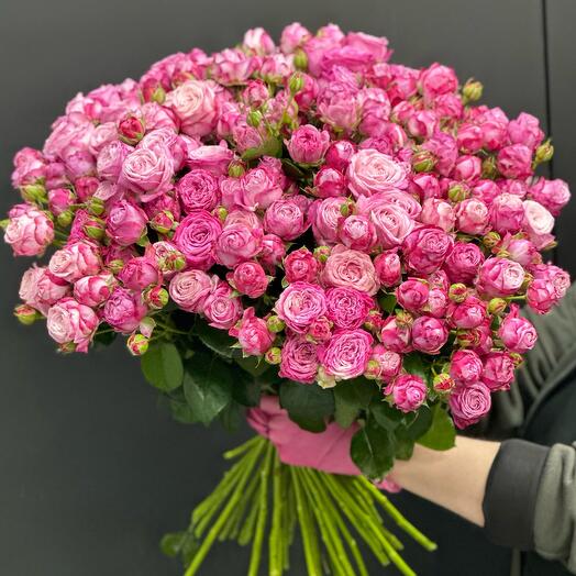 Роза кустовая пионовидная 51