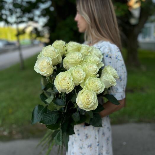 Роза Эквадор «MONDIAL» 15шт🤍