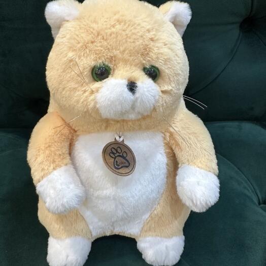 Кот толстый