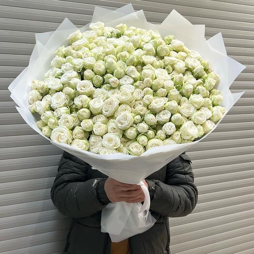 White bush rose peony-shaped