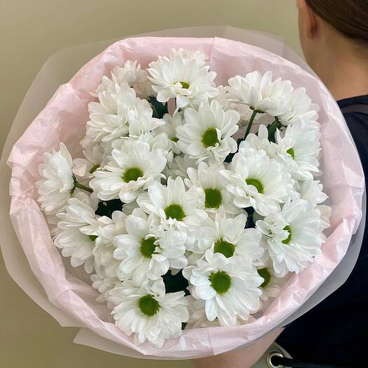 Букет из кустовых хризантем Бакарди S