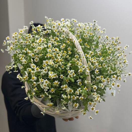 Корзина с ромашками