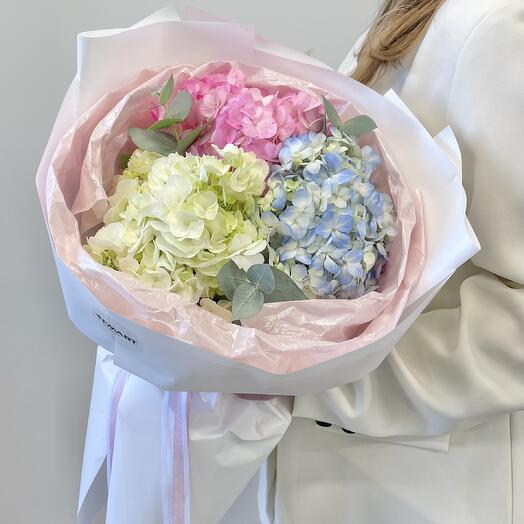 Цветы Букет разноцветная гортензия 3 мама