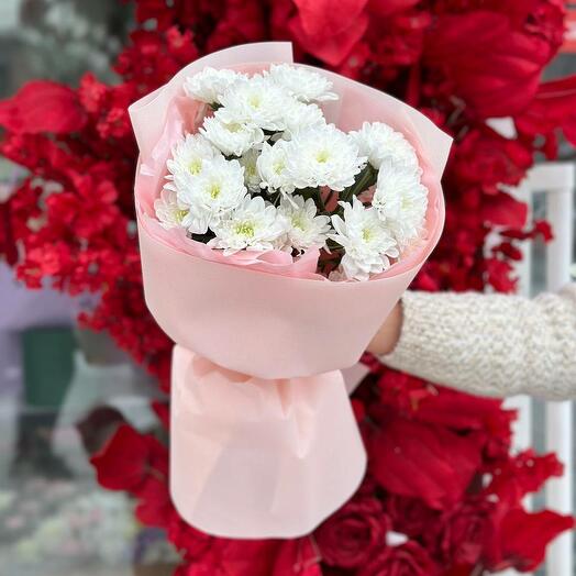 Хризантема Балтика