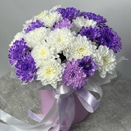 Бело-сиреневая хризантема для нее💜