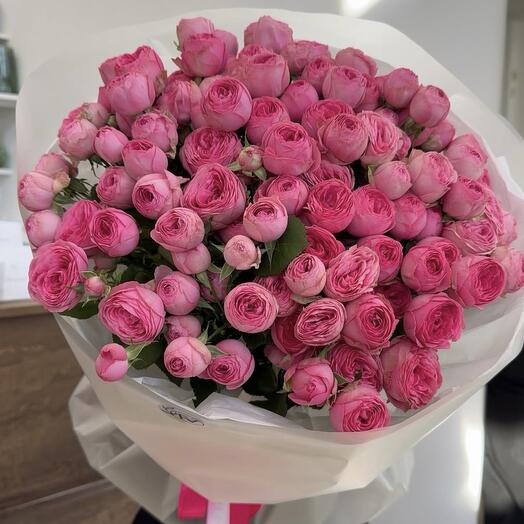 Моно сказка