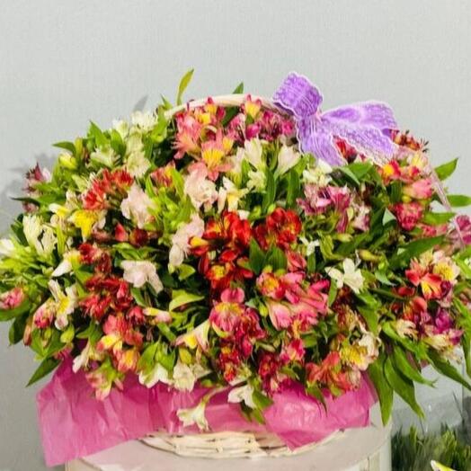 Alstroemeria flowers 151 pieces in a huge basket