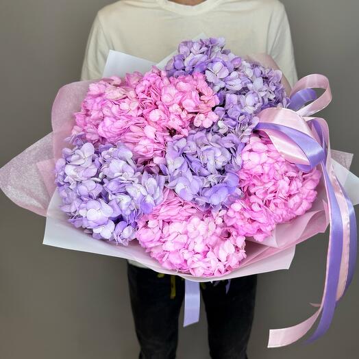 Гортензия для самых нежных 🥰