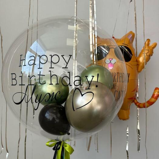 Шар с индивидуальной надписью и Рыжий кот