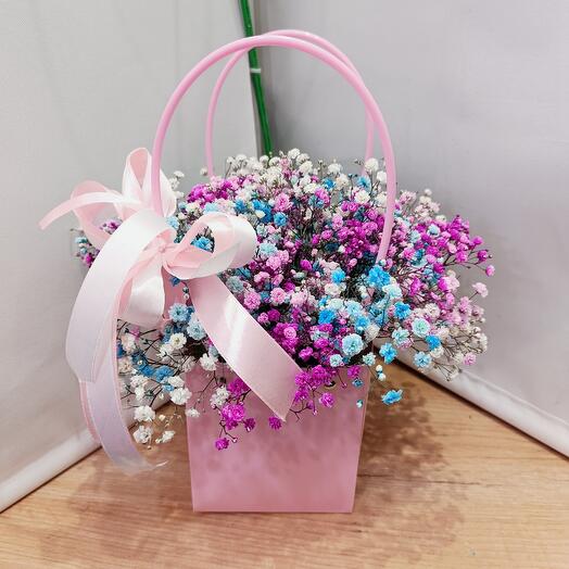 Composition of rainbow gypsophila