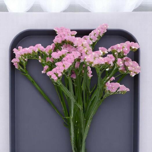 Pink Statice Flower – Per Stem