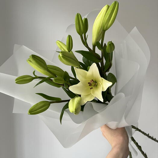 Моно букет из белых лилий