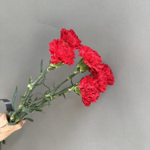 Букет из Гвоздик