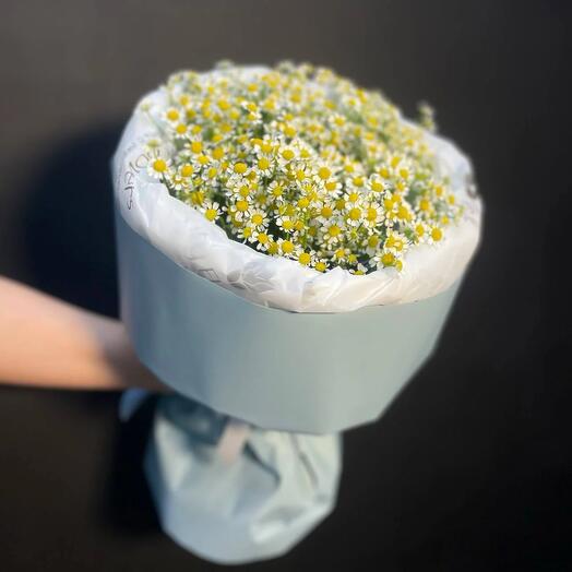 Ромашки