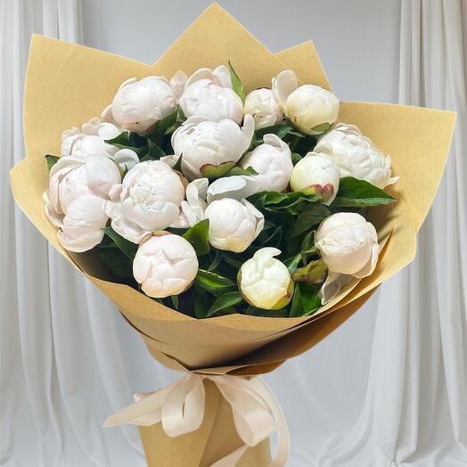 Пионы «Молочный шёлк» 15