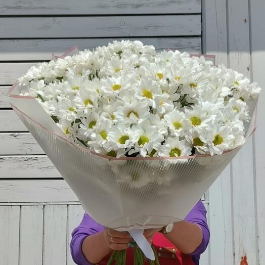 Солнечный вальс (может быть другой расцветки)