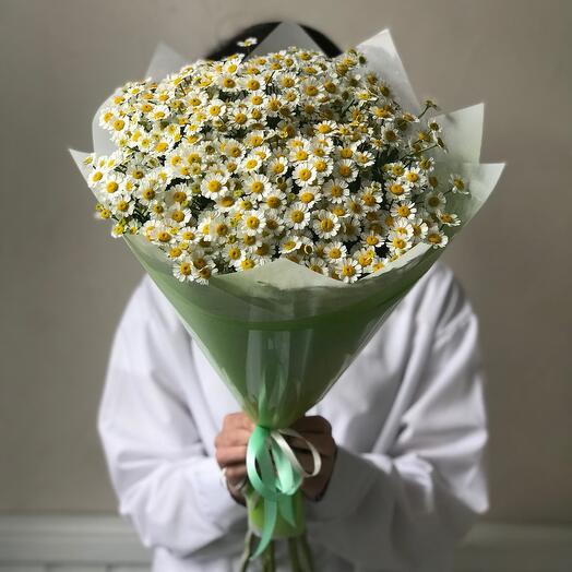 Букет из 9 кустовых ромашек