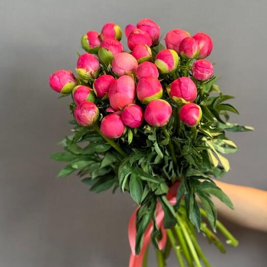 Коралловые пионы