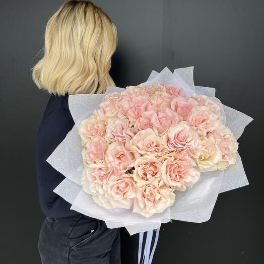 French roses 15 pink mondial