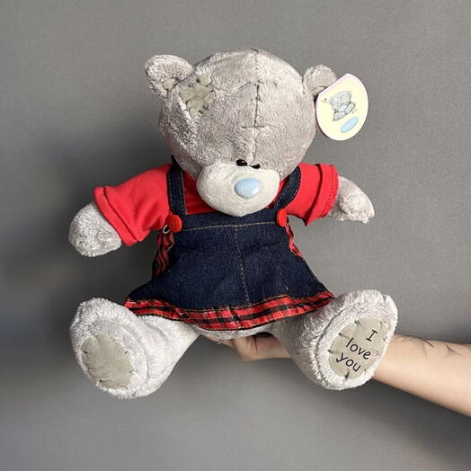 Мишка Тэдди девочка