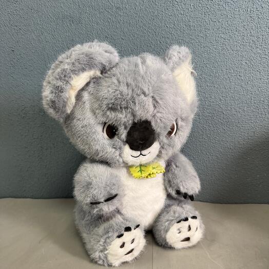 Коала