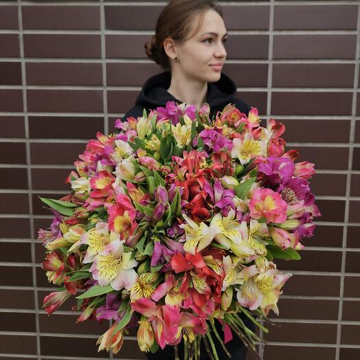 Микс из 51 альстромерии
