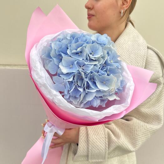Бабл гам 🌸🩵 букет гортензии
