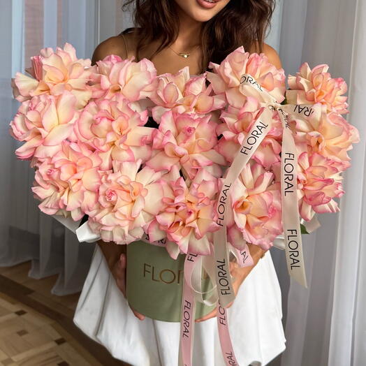 Коробка ESPERANCE 1.0