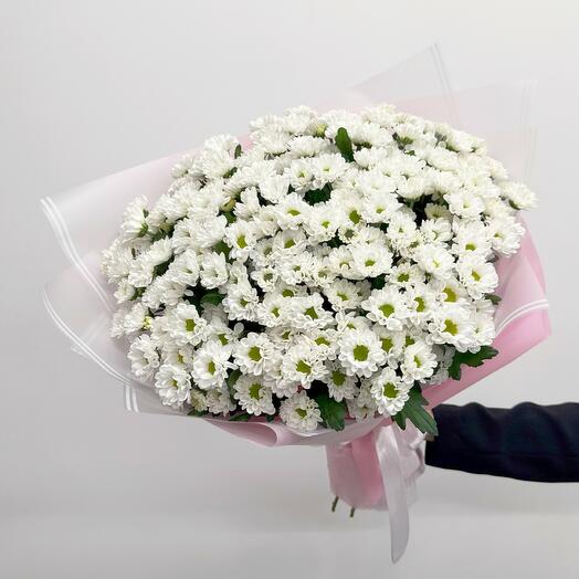Букет из 21 белой сантинии в упаковке