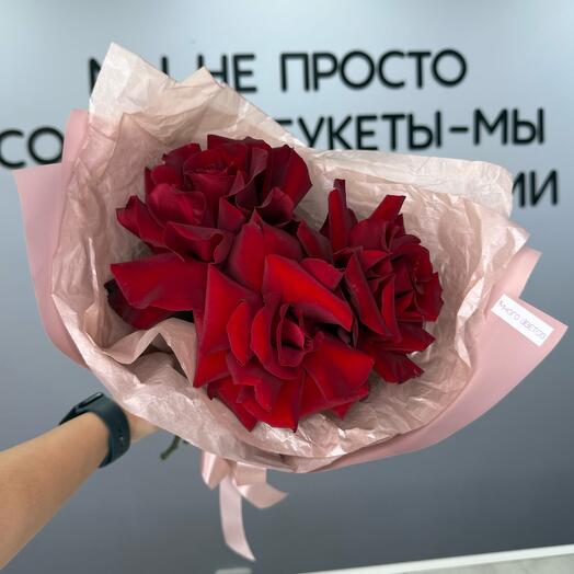 Эксплорер