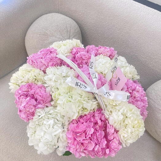 Гортензия в корзине