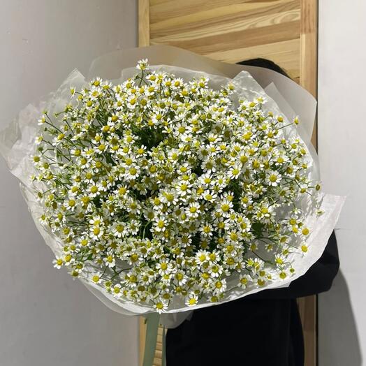 Ромашка 25 шт💛