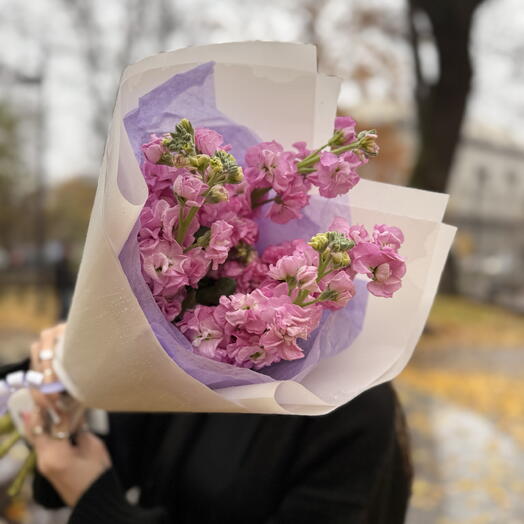 Маттиола розовая в авторской упаковке💜