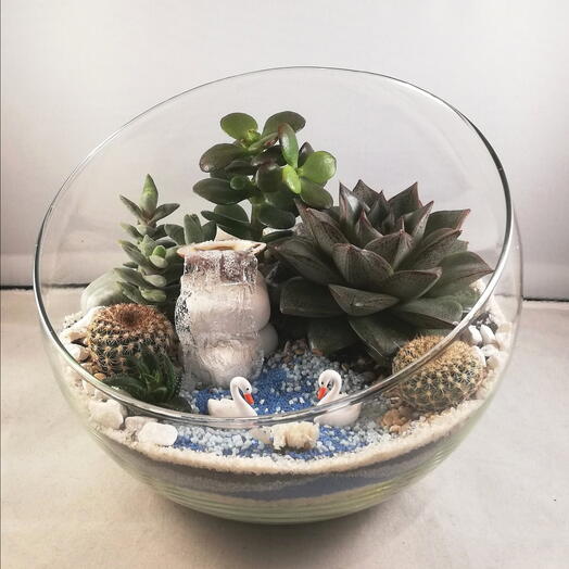 Флорариум Нежность