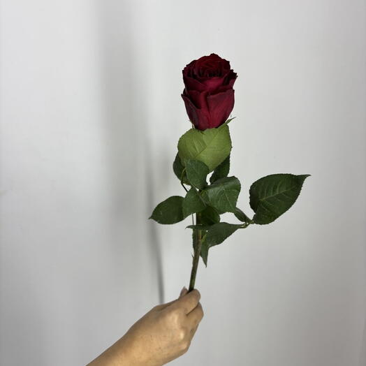 Красные розы 50см